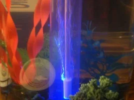 A Few Questions About My New Betta's Tanks