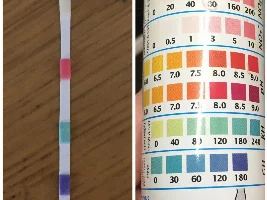 Nitrate levels and pregnant female fish