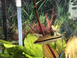 Any plant peeps that can help identify?