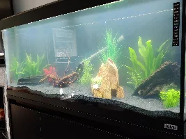 Looking to buy a fish tank - New to the fish biz!