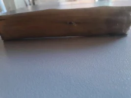 Can I add these pieces of birch driftwood to my aquarium?