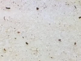 Changing Substrate Advice