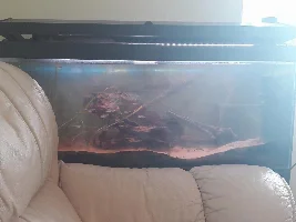 New to the forum, not to the hobby