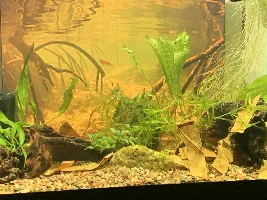 Best Nano Tank Light?