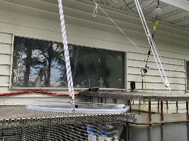 Anyone else raising fish for food??? Now with pictures of the Harvest!