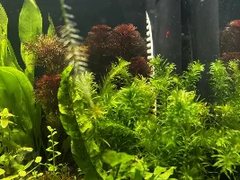 My 60L Cube