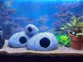 About ready to give up this hobby...