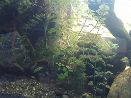 Gravel or sand?