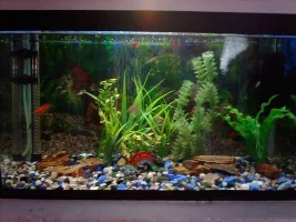 Tank Upgrade