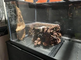 The Cave Tank (and how i made it)