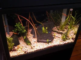 things that people not into the aquarium hobby say or do that annoys you?