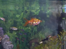 New 160L Tank