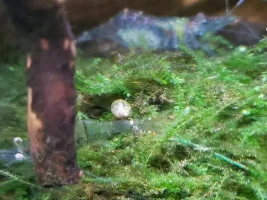 Can someone tell me what this is?