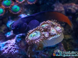 New photos! Take a look!