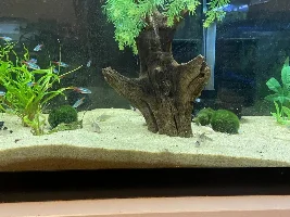 Feeding Time