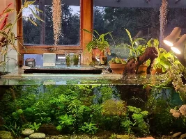 Here I go again 150 gallon reset.