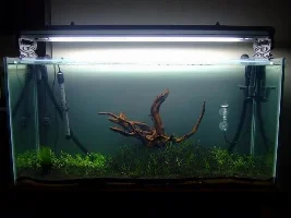 My 45 Gallon