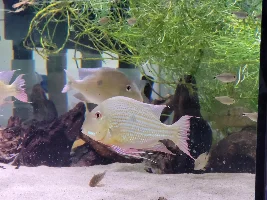 A few random pictures from the past week or so