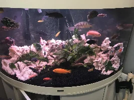 Changing my ugly blue gravel to black sand!