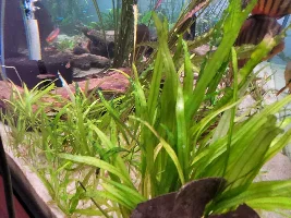 A few random pictures from the past week or so