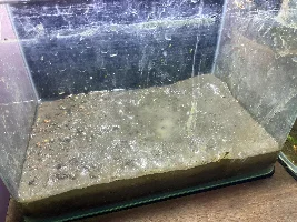 Mud Substrate Aquarium - No Cap - Journal