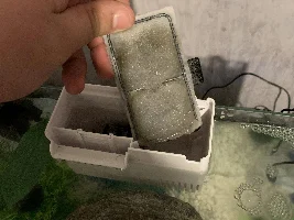 Filter Very Dirty :(