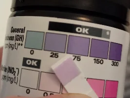 Help with stocking