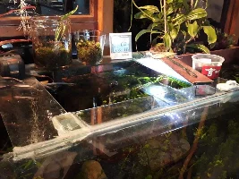 Big problems in Rio land