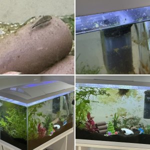 Richards Superfast 60L