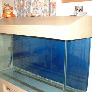 fotank2.jpg
