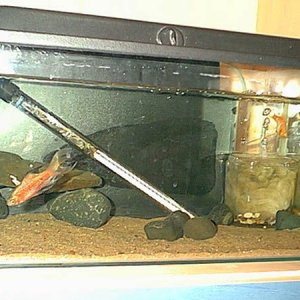 smalltank.jpg