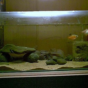 tank_2_2.jpg