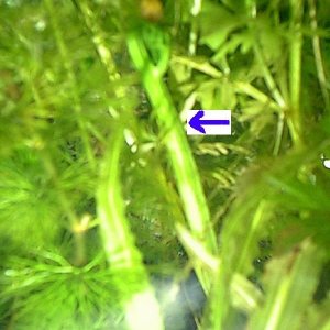 plantsmall.jpg