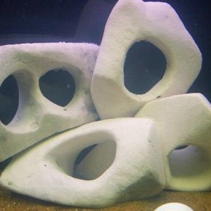 rocks2.JPG
