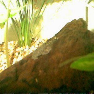 Image07.jpg