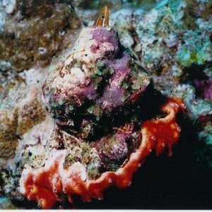 diving_photo.jpg