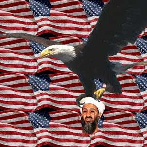 bindead400x300.jpg