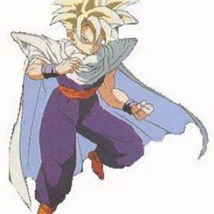 gohan.jpeg