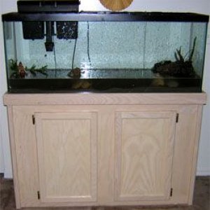 tanked1.jpg
