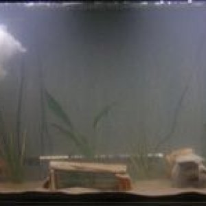 tanklights.jpg