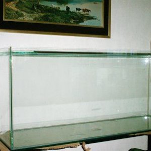 empty1.jpg
