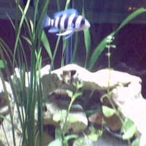 Picture_26fron.jpg