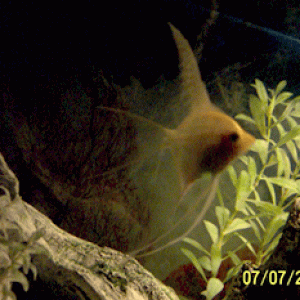 post_22_1057675128.gif