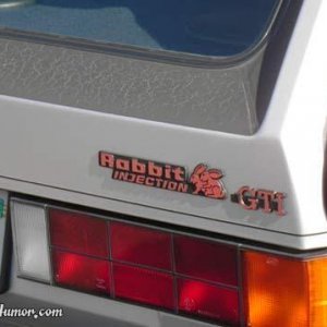 rabbit_injection.jpeg