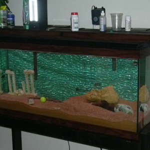 tank1.JPG