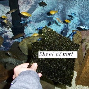 1_sheet.JPG