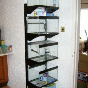stand2.jpg