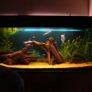 tank_view.jpg