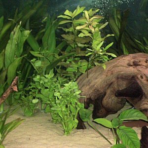 tankupdate2.jpg