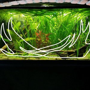 Untitled-1.jpg